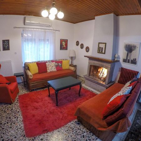 Breathtaking Lake View Cottage With A Fireplace Next To Ioannina City! Buitenkant foto