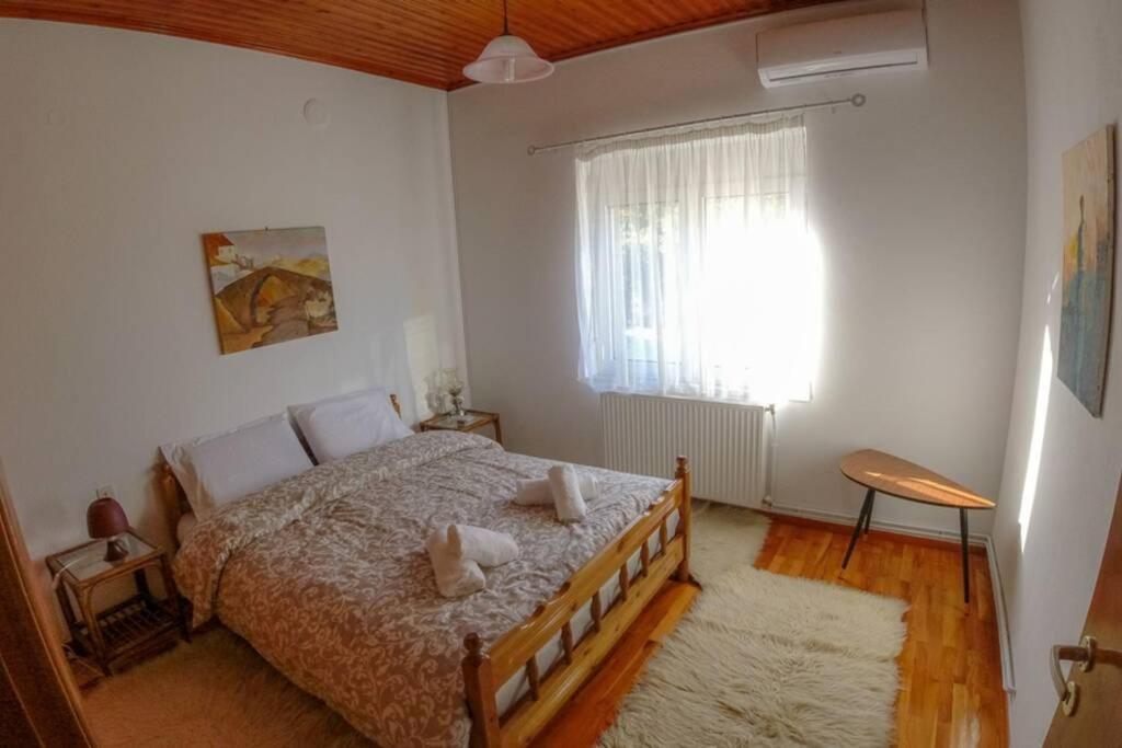 Breathtaking Lake View Cottage With A Fireplace Next To Ioannina City! Buitenkant foto
