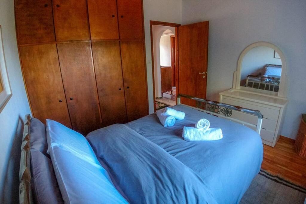 Breathtaking Lake View Cottage With A Fireplace Next To Ioannina City! Buitenkant foto